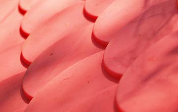 Catchory plastic roof costs